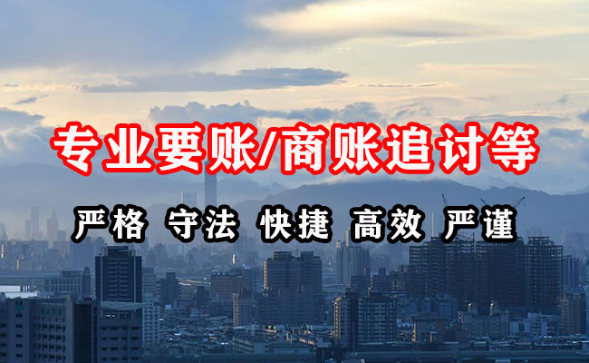 乐安清债公司